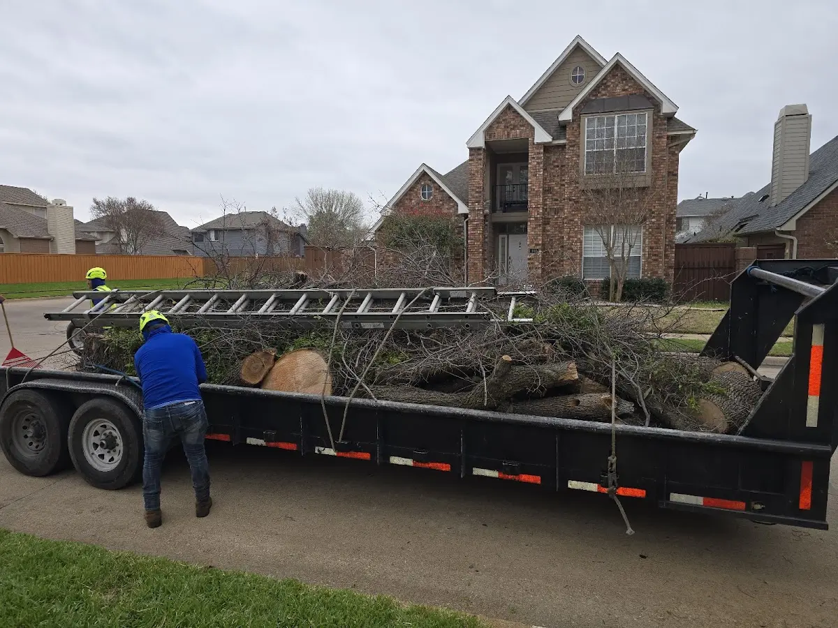 Expert Tree Fertilization with proper safety equipment in Inchelium